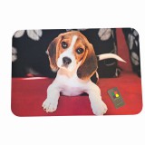 Kölyök Beagle gumi lábtörlő, 60 x 40 cm
