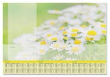 Könyökalátét, 595x410 mm, 3 éves tervez&#337;vel, sigel "lovely daisies" ho307