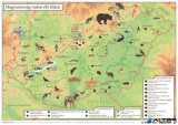 Könyökalátét, kétoldalas, A3, STIEFEL 'Magyarország vadon élő állatai / Magyarország állatvilága'