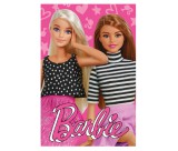 KORREKT WEB Barbie Friends polár takaró 100x150cm