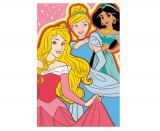 KORREKT WEB Disney Hercegnők Team polár takaró - 100 x 150 cm