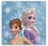 KORREKT WEB Disney Jégvarázs Snowflake kéztörlő, arctörlő, törölköző 30x30cm