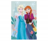 KORREKT WEB Disney Jégvarázs Togeher polár takaró - 100 x 150 cm