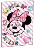 KORREKT WEB Disney Minnie B/5 vonalas füzet 40 lapos