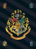 KORREKT WEB Harry Potter Black polár takaró 100x140cm