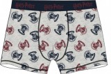 KORREKT WEB Harry Potter gyerek boxeralsó 122/128 cm