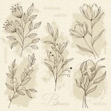 KORREKT WEB Virág Beige Illustration szalvéta 20 db-os 33x33 cm