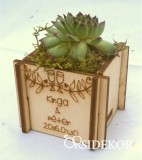 Kövirózsa köszönetajándék fa kockában