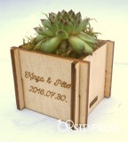 Kövirózsa tartó köszönetajándék