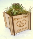 Kövirózsa tartó köszönetajándék