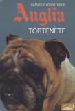Kozmosz Anglia története