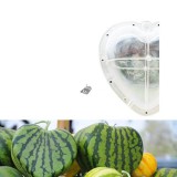 Kreatív görögdinnye-formázó