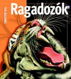Kreatív Kiadó Ragadozók
