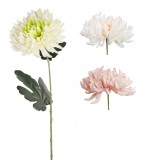 Krizan.Lapos Fej 3S76Cm *** 504034