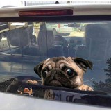 Kukucskáló mopsz autómatrica