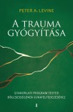 Kulcslyuk Kiadó A trauma gyógyítása - Gyakorlati program tested bölcsességének újrafelfedezéséhez