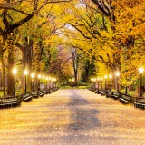 KULPRESS Vinyl háttér fotózáshoz. Őszi fotó háttér 150X210 cm 11632