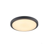 Kültéri Fali/mennyezeti lámpa, antracit, 3000K melegfehér, 1430 lm, CRI 80, 120°, SLV Ainos 229965