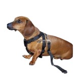 Kutya biztonsági öv autóba