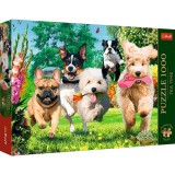 Kutyabrigád 1000db-os prémium puzzle - Trefl