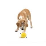 Kutyajáték, kutya labda, interaktív labda kutyáknak