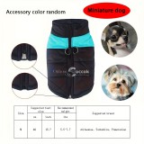 Kutyaruha, párnázott kisállat mellény