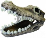 Krokodil koponyát formázó akvárium dekoráció (110 mm)