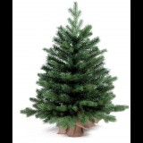 LAALU karácsonyfa cserépben - Bernard fenyőfa, 90 cm (LAU-1457)