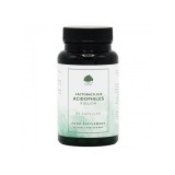 Lactobacillus Acidophilus 60 kapszula - G&G