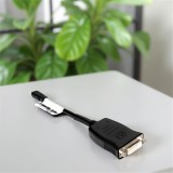 LANBERG Mini DisplayPort apa - DVI anya adapter