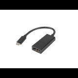 Lanberg USB-C apa - DisplayPort anya adapter - Fekete (AD-UC-DP-01)