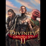 Larian Studios Divinity: Original Sin 1 + 2 Bundle (PC - GOG.com elektronikus játék licensz)