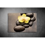 Lávakövek Vászonkép 047 sfs-047