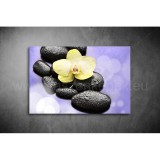 Lávakövek Vászonkép 048 sfs-048