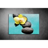 Lávakövek Vászonkép 049 sfs-049