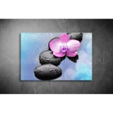 Lávakövek Vászonkép 050 sfs-050