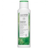 lavera H sampon Freshness and Balance zsíros hajra VEGÁN 250 ml