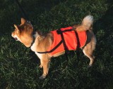Lázár mentőmellény NAVY Kutya mentőmellény Mentőmellény kutyáknak 8-15kg