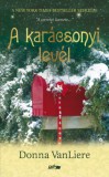 Lazi Kiadó Donna Vanliere: A karácsonyi levél - könyv