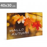 LED-es fali hangulatkép - "Hello ősz" - 2 x AA, 40 x 30 cm