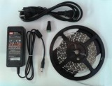 LEDMASTER 1311UWW-300