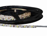 LEDMASTER 2835UCW-60-
