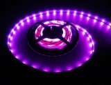 LEDMASTER 5050RGB-30-