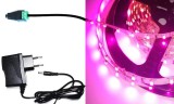 LEDMASTER 5m hosszú 23 Wattos, kapcsoló nélküli, adapteres pink LED szalag (300db 3528 SMD LED)