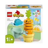 LEGO® (10981) DUPLO® - Sárgarépa-ültetés