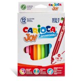 Lemosható filctollszett 12db - Carioca