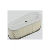 Levegő Szűrő Briggs 493909