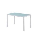 Leziter Ezra 120 cm szögletes üveg étkezőasztal fehér