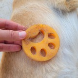 Leziter Furgetty 4 db-os állatszőr eltávolító készlet