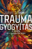 Libri Könyvkiadó James S. Gordon: Traumagyógyítás - könyv